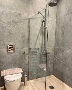 a bathroom with a glass shower with a toilet at 11 Luxury Apartments in Metsovo +33 photos