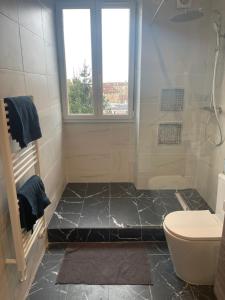 uma casa de banho com um chuveiro e um WC. em L'Etoile Imani -Amazing apartment near Orly Airport em Villeneuve-Saint-Georges