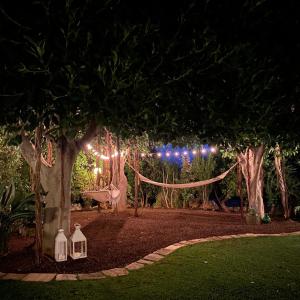 a garden at night with lights on trees w obiekcie Masseria La Foggia w mieście Fasano
