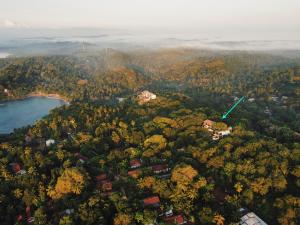 una vista aérea de un bosque junto a un lago en Little Tamarind, en Tangalle