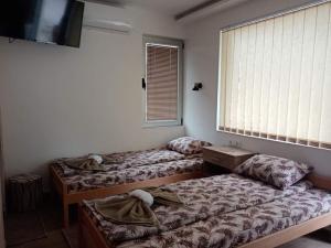 um quarto com duas camas, uma tv e uma janela em Apartman Oreol em Priboj