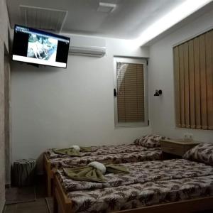 Katil atau katil-katil dalam bilik di Apartman Oreol