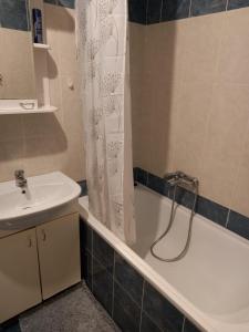 bagno con lavandino, vasca e doccia di Sofia Apartment a Surčin