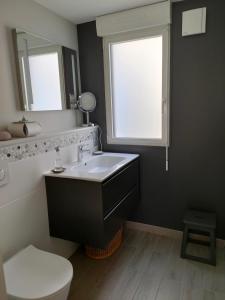 La salle de bains est pourvue d'un lavabo, de toilettes et d'un miroir. dans l'établissement Le crabe rouge, à Groix