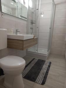Kúpeľňa v ubytovaní Onix -Orfű Aqua Apartman + 37 fotografií