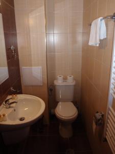 班斯科班斯科皇家古楼酒店的带马桶和水槽的小浴室 更多34张照片