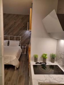 een slaapkamer met een bed en een tafel met potplanten bij Sroom Apartment in Mesolongion