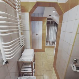 ein Bad mit einer Leiter und einem WC in der Unterkunft Apartament przy plaży free parking in Złotów