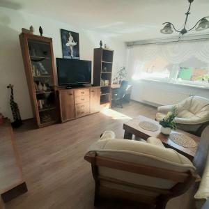 ein Wohnzimmer mit einem Sofa und einem TV in der Unterkunft Apartament przy plaży free parking in Złotów