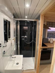 a bathroom with a shower and a white sink at The Ashmere Tiny House in Coldingham