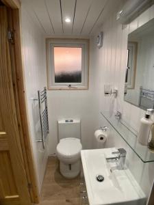 baño con aseo y lavabo y ventana en The Ashmere Tiny House, en Coldingham