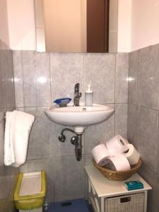 Koupelna v ubytování Apartment Bucka
