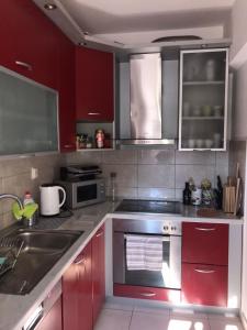 Kuchyň nebo kuchyňský kout v ubytování Apartment Bucka