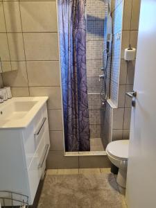 Kúpeľňa v ubytovaní Kuća za odmor Hodak