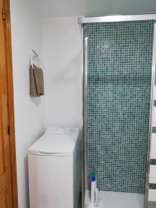 a shower in a bathroom with a washing machine at Estudio Fenix LOS MOLINILLOS in Roquetas de Mar
