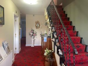 Φωτογραφία από το άλμπουμ του Buttermilk Lodge Guest Accommodation σε Clifden