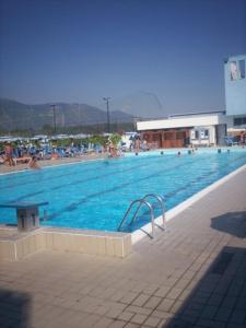 duży basen z ludźmi w wodzie w obiekcie Hotel Ginevra w mieście Poggiomarino