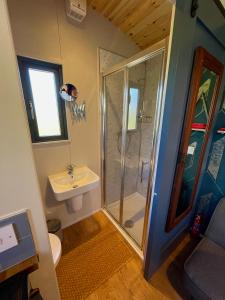 a bathroom with a shower and a sink at Shepherds Hut Glamping in Bantry