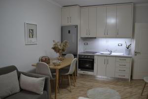 Kuchyň nebo kuchyňský kout v ubytování Aria Apartment + 10 fotografií