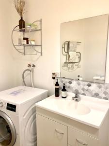 a bathroom with a washing machine and a sink at Glenorchy Retreat Apartment in Glenorchy