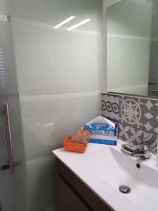 ein Bad mit einem Waschbecken und einem Spiegel in der Unterkunft Il campanile in Laterina