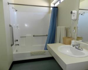 
a bathroom with a shower, sink, and toilet at High Desert Motel Joshua Tree National Park in Joshua Tree
