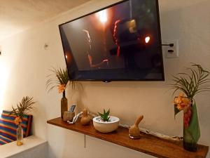 TV a/nebo společenská místnost v ubytování Casa De Los Pájaros - B&B