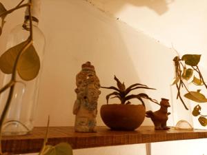 Fotografie z fotogalerie ubytování Casa De Los Pájaros - B&B v destinaci Valladolid