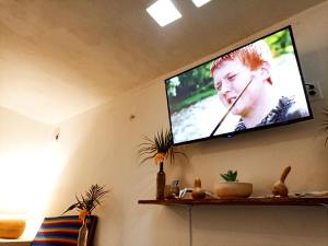 TV a/nebo společenská místnost v ubytování Casa De Los Pájaros - B&B