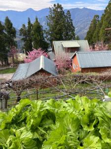 Paesaggio naturale nelle vicinanze dello chalet