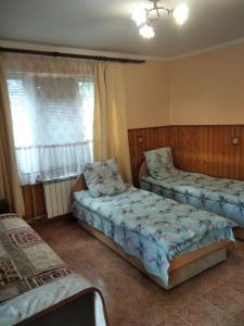 a bedroom with two beds and a window at Тушер in Rakhiv