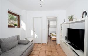 Μια τηλεόραση ή/και κέντρο ψυχαγωγίας στο Lovely Apartment In Ribarica With Wifi