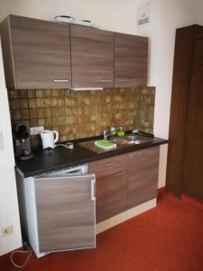 Kuchyň nebo kuchyňský kout v ubytování Hotel Luitpold