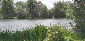 Fotografie z fotogalerie ubytování Lakeside Cotswold Holiday Home v destinaci Cirencester