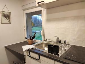 A kitchen or kitchenette at Gîte des Viviers -08400 Manre - de 1 à 2 personnes