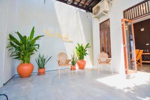 Ban Yai (1)的住宿－The Bank River House Ayutthaya，一套椅子和植物