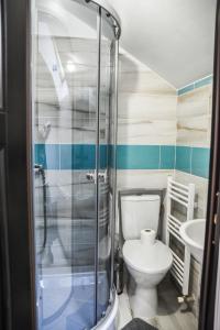 un bagno con un water e un lavandino di Casa Didea a Borşa