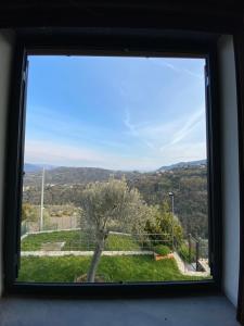 a window with a view of a tree at Sunrise Holiday Home in Camogli