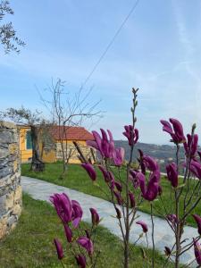 a group of purple flowers in front of a building at Sunrise Holiday Home in Camogli