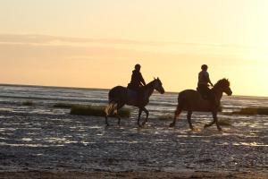 Dos personas montando caballos en la playa al atardecer en la baie le Rue, en Rue