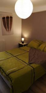 a bedroom with a large green bed with a light at Duplex au centre ville, dans cour intérieure calme in Dole
