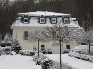 uma casa coberta de neve com árvores em frente em Weisses-Haus-am-Kurpark-Fewo-Gartenblick em Quedlinburg