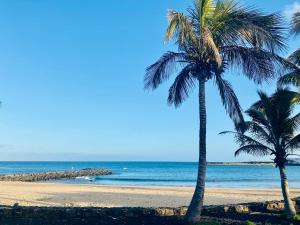 dwie palmy na plaży z oceanem w obiekcie Villa Santa Martha w Costa Teguise