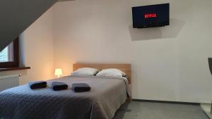 una camera con letto e TV a parete di Willa Lawenda Apartament 6 a Rytro