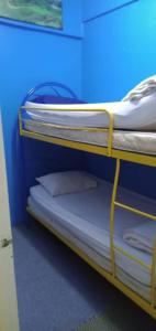 two bunk beds in a room with a blue wall at Netasha holiday inn and apartment in Cameron Highlands