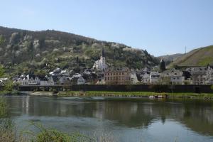 uma cidade numa colina junto a um rio em Weingut Rosenbaum em Briedel