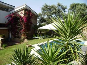 a yard with chairs and a house with plants at Casa con encanto frente al lago in El Ronquillo