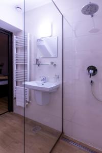 a bathroom with a sink and a glass shower at Pensiunea Tara Fagilor in Suceava