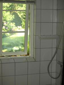 La salle de bains est pourvue d'une douche et d'une fenêtre. dans l'établissement Fadeburet på Skibstedgaard, à Tvolm
