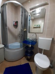 a bathroom with a shower and a toilet and a sink at City Center Luxury Apartment in Subotica +29 photos